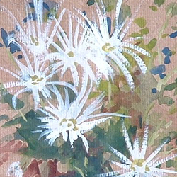 Detail of White Chrysanthemums by Steve Williamson